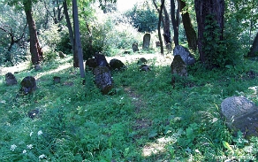 P7220010 Baligród, kirkut, macewy, stan na rok 2006 (foto: P. Szechyński)