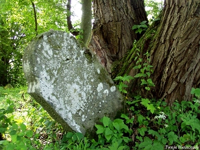 P7220013 Baligród, kirkut, stan na rok 2006 (foto: P. Szechyński)
