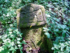 P7220017 Baligród, kirkut, stan na rok 2006 (foto: P. Szechyński)