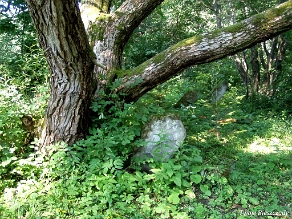 P7220019 Baligród, kirkut, stan na rok 2006 (foto: P. Szechyński)