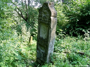 P7220024 Baligród, kirkut, stan na rok 2006 (foto: P. Szechyński)