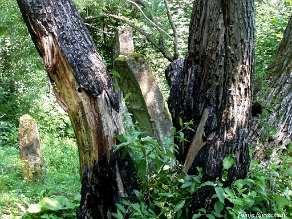 P7220033 Baligród, kirkut, stan na rok 2006 (foto: P. Szechyński)