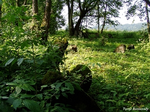 P7220040 Baligród, kirkut, stan na rok 2006 (foto: P. Szechyński)