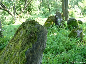 P7220042 Baligród, kirkut, macewy, stan na rok 2006 (foto: P. Szechyński)