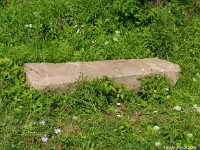 P7220043 Baligród, kirkut, stan na rok 2006 (foto: P. Szechyński)