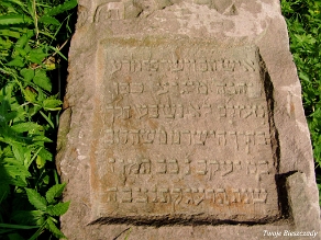 P7220044 Baligród, kirkut, stan na rok 2006 (foto: P. Szechyński)