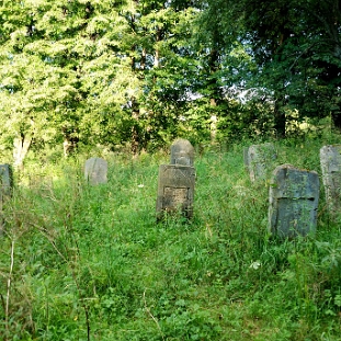 DSC_0115 Ustrzyki Dolne, cmentarz żydowski - kirkut, 2010 (foto: P. Szechyński)