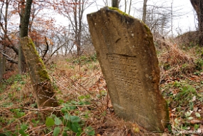 kirkut_wm2009a Wola Michowa, cmentarz żydowski - kirkut, jesień 2009 (foto: P. Szechyński)