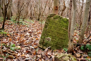 kirkut_wm2009b Wola Michowa, cmentarz żydowski - kirkut, jesień 2009 (foto: P. Szechyński)