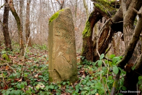 kirkut_wm2009c Wola Michowa, cmentarz żydowski - kirkut, jesień 2009 (foto: P. Szechyński)