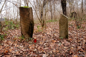 kirkut_wm2009d Wola Michowa, cmentarz żydowski - kirkut, jesień 2009 (foto: P. Szechyński)
