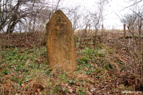 kirkut_wm2009f Wola Michowa, cmentarz żydowski - kirkut, jesień 2009 (foto: P. Szechyński)