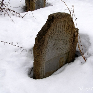 wmichowa3 Wola Michowa, cmentarz żydowski - kirkut, 2005 (foto: J. Milczanowska)