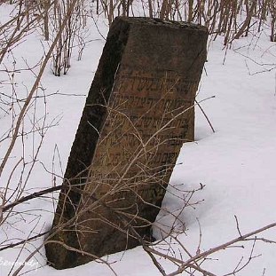 wmichowa6 Wola Michowa, cmentarz żydowski - kirkut, 2005 (foto: J. Milczanowska)