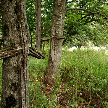 lupkow2010c Łupków, cmentarz greckokatolicki, 2010 (foto: P. Szechyński)