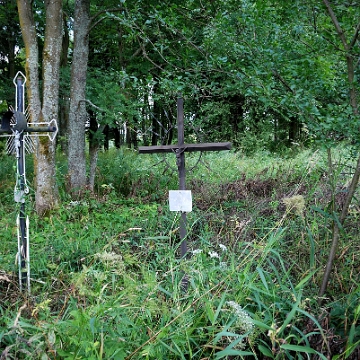 lupkow2010y Łupków, cmentarz greckokatolicki, 2010 (foto: P. Szechyński)