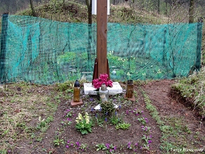 srednie2008b Średnie Wielkie, miejsce po cerkwi, 2008 (foto: P. Szechyński)