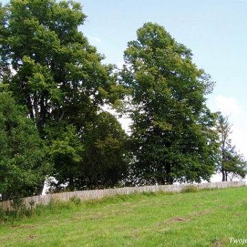 zubracze2005a Żubracze, cmentarz i miejsce po cerkwi, 2005 (fot. P. Szechyński)