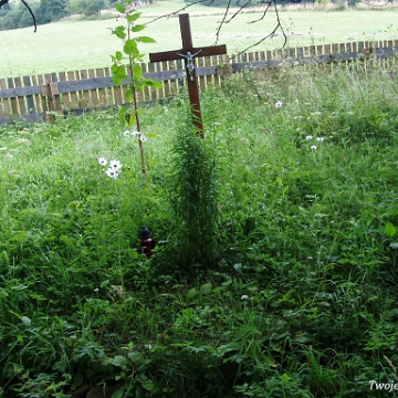 zubracze2005i Żubracze, cmentarz, 2005 (fot. P. Szechyński)