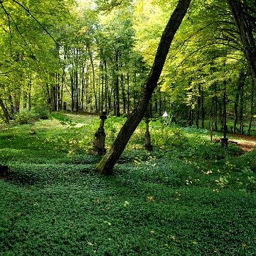 21d Bereźnica Niżna, cmentarz, 2014 (foto: P. Szechyński)