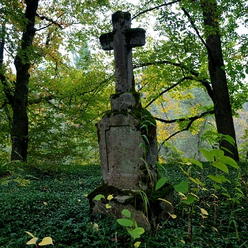 25d Bereźnica Niżna, Piotr Zawojski (1850 - 1930), 2014 (foto: P. Szechyński)