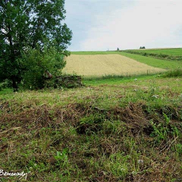 buk10 Bukowiec, cmentarz, 2008 (foto: Paweł Olejnik)