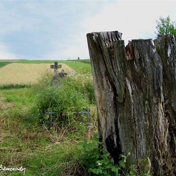 buk14 Bukowiec, cmentarz, 2008 (foto: Paweł Olejnik)