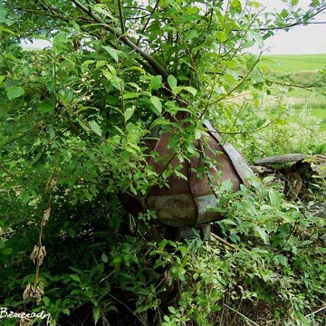 buk5 Bukowiec, cebulka ze zwieńczenia cerkwi, 2008 (foto: Paweł Olejnik)