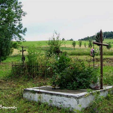 buk8 Bukowiec, cmentarz, 2008 (foto: Paweł Olejnik)