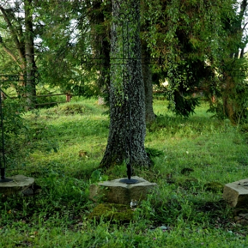 bukowiec2016d Bukowiec, miejsce po cerkwi, krzyże ze zwieńczeń, 2016 (foto: P. Szechyński)