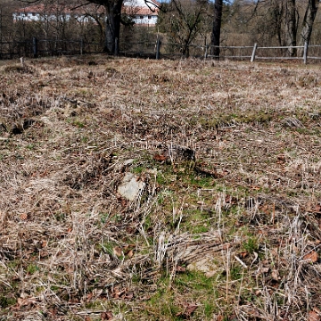 czarna2011a Czarna Dolna, cmentarz i miejsce po cerkwi, 2011 (foto: P. Szechyński)