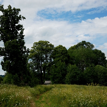 dzwin9 Dźwiniacz Górny, cmentarz, 2016 (foto: P. Szechyński)