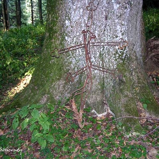 habkowce1 Habkowce, krzyż ze zwieńczeń cerkwi z 1833r., 2007 (foto: E. Milczanowska)