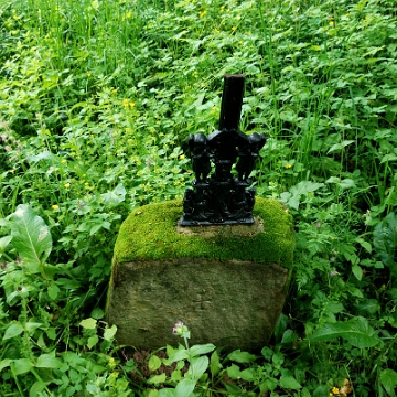 huls1 Hulskie, cmentarz latem 2020 (foto: P. Szechyński)