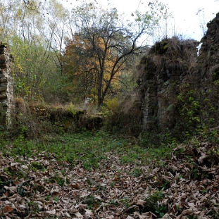 hulskie2013g Hulskie, ruiny cerkwi, 2013 (foto: P. Szechyński)