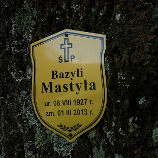 krywe2 Krywe, cmentarz, lipiec 2013 (foto: P. Szechyński)