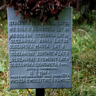 maniow2014i Maniów, zbiorowa mogiła zamordowanych przez UPA, 2014 (foto: P. Szechyński)