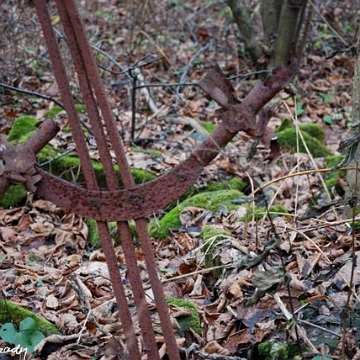 preluki6 Prełuki, miejsce po cerkwi, rok 2010 (foto: P. Szechyński)