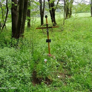 224244radziejowa1 Radziejowa, stary cmentarz, 2005 (fot. P. Szechyński)