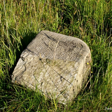 skorodne2006a Skorodne, cmentarz greckokatolicki, 2006 (fot. P. Szechyński