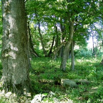 skorodne2006c Skorodne, cmentarz greckokatolicki, 2006 (fot. P. Szechyński