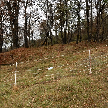 skorodne2013c Skorodne,cmentarz, 2013 (foto: P. Szechyński)