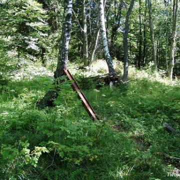 solinka2004a Solinka, cmentarz greckokatolicki, lato 2004 (foto: P. Szechyński)