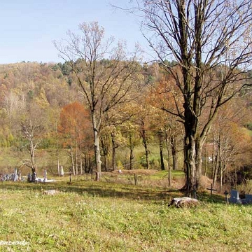 ste16 Stężnica, cmentarz, 2008 (foto: P. Szechyński)