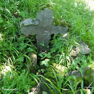 11053016d Stebnik, cmentarz greckokatolicki, 2006 (fot. P. Szechyński)