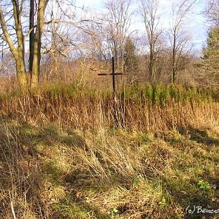 230420studenne1 Studenne, dawny cmentarz, 2005 (fot. J. Milczanowska)