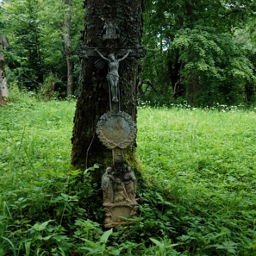 tworylne2016c Tworylne, cmentarz, lipiec 2016 (foto: P. Szechyński)