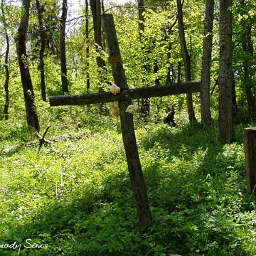 twor3 Tworylne, cmentarz, 2005 (foto: P. Szechyński)