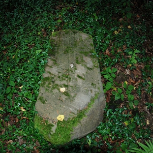DSC_0046 Cmentarz Tyskowa, 2018 (foto: P. Szechyński)