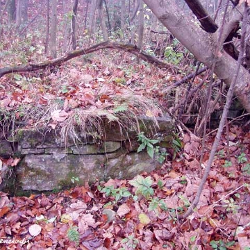 tysk4 Tyskowa, miejsce po cerkwi (cerkwisko), 2005 foto: P. Szechyński